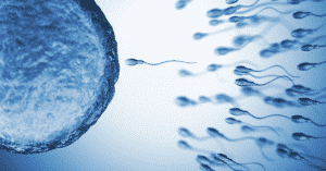 Read more about the article Discover Low Sperm Count Signs & Treatment Options