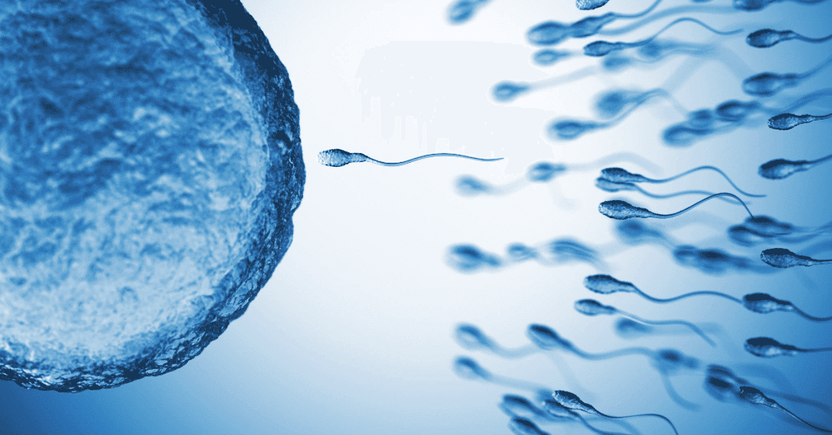 Read more about the article Discover Low Sperm Count Signs & Treatment Options