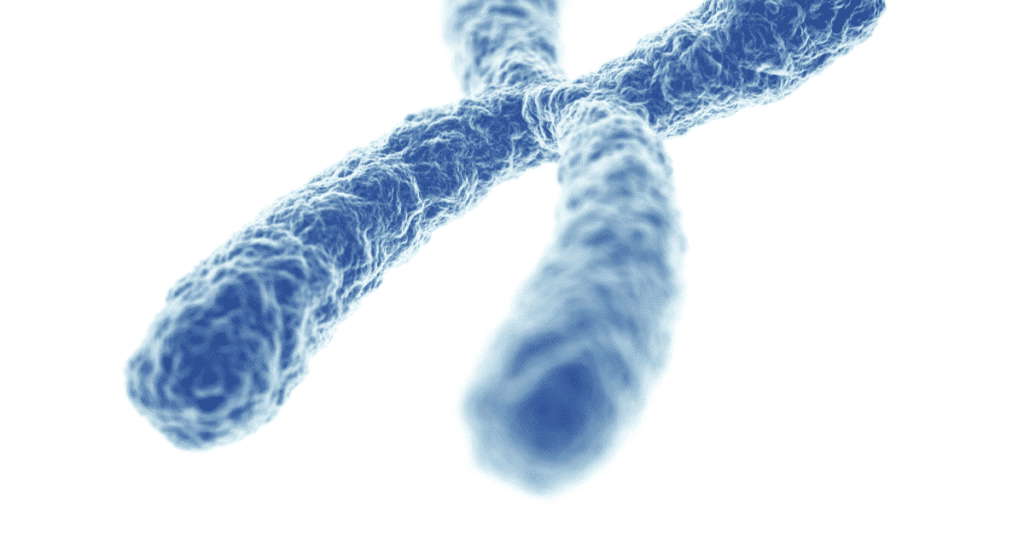 Chromosomal Abnormalities Miscarriage: The Hidden Link